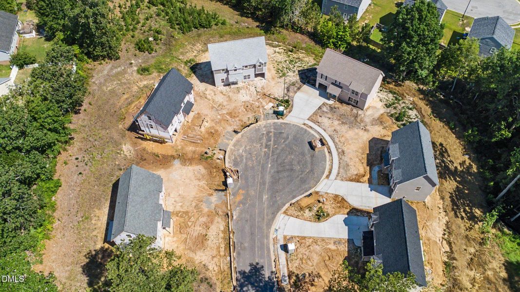 3-web-or-mls-DJI_0755