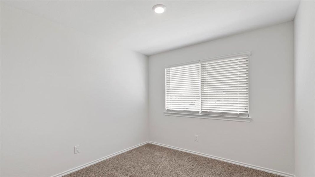 Neutral-toned walls and carpet flooring