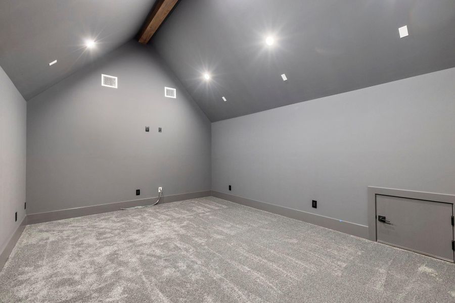 Theatre room
