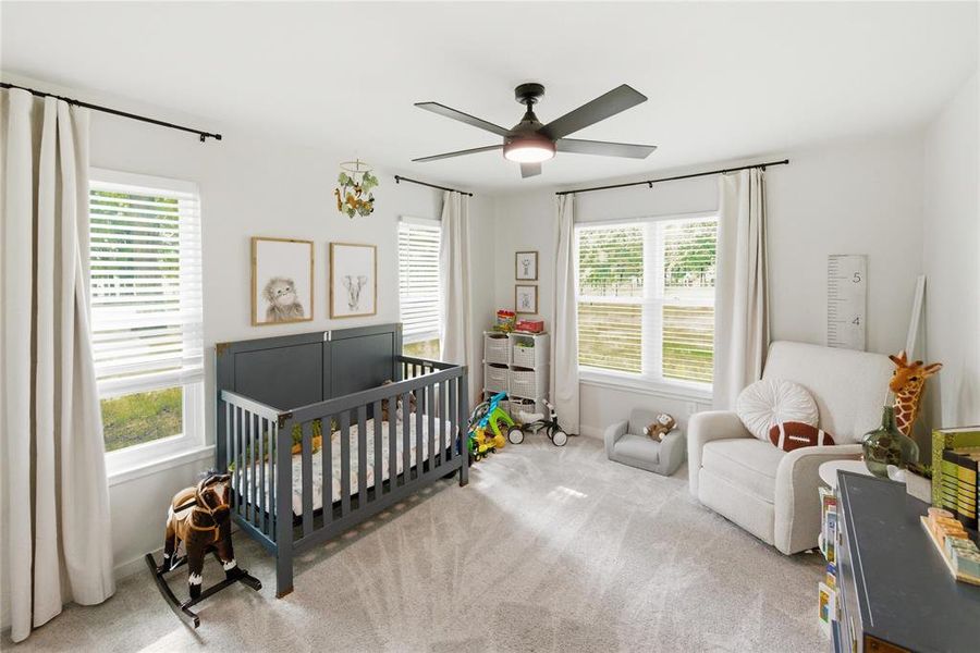 Furnished interior view inside a new home in , Rosebud (Image 12).
