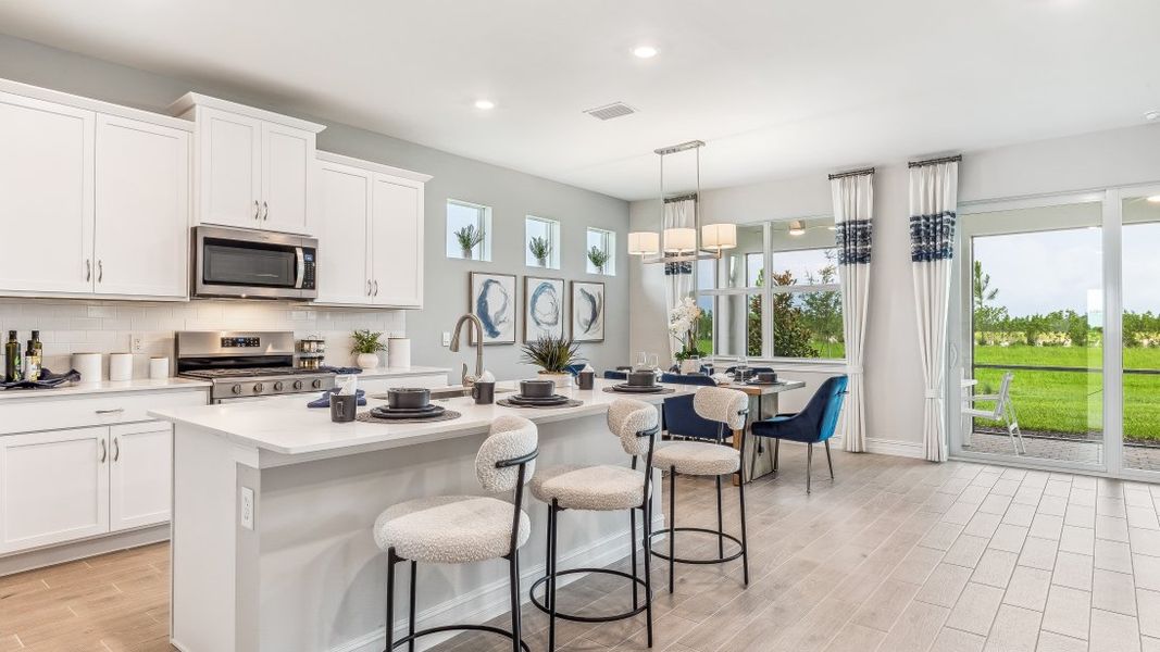Representative furnished interior of a home built from the DELRAY by D.R. Horton in Palmetto Landing at Babcock Ranch, Punta Gorda (Image 9).