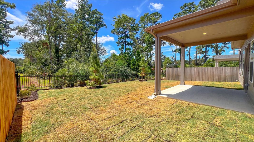 The Crawford- Rear Covered Patio