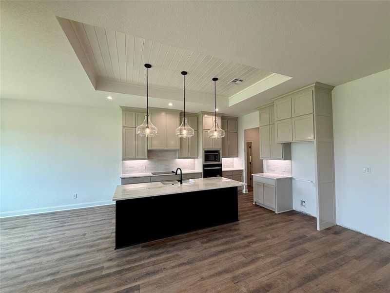 Kitchen featuring light stone counters, a kitchen island with sink, stainless steel appliances, dark wood-type flooring, and a tray ceiling