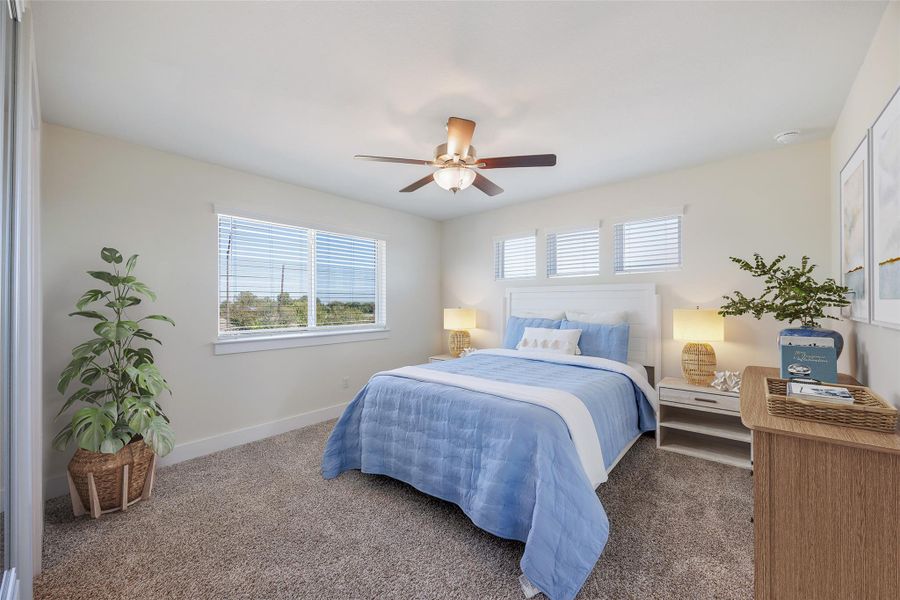 Carpeted bedroom featuring multiple windows and a ceiling fan Carpeted bedroom featuring multiple windows and a ceiling fan