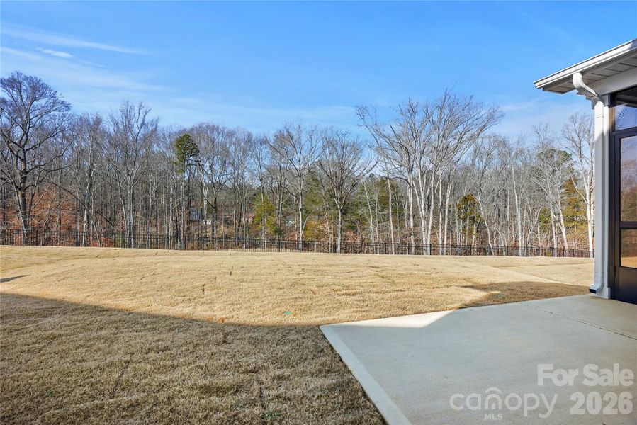 Exterior details and patio area of a home in Forest Creek, Waxhaw (Image 28).