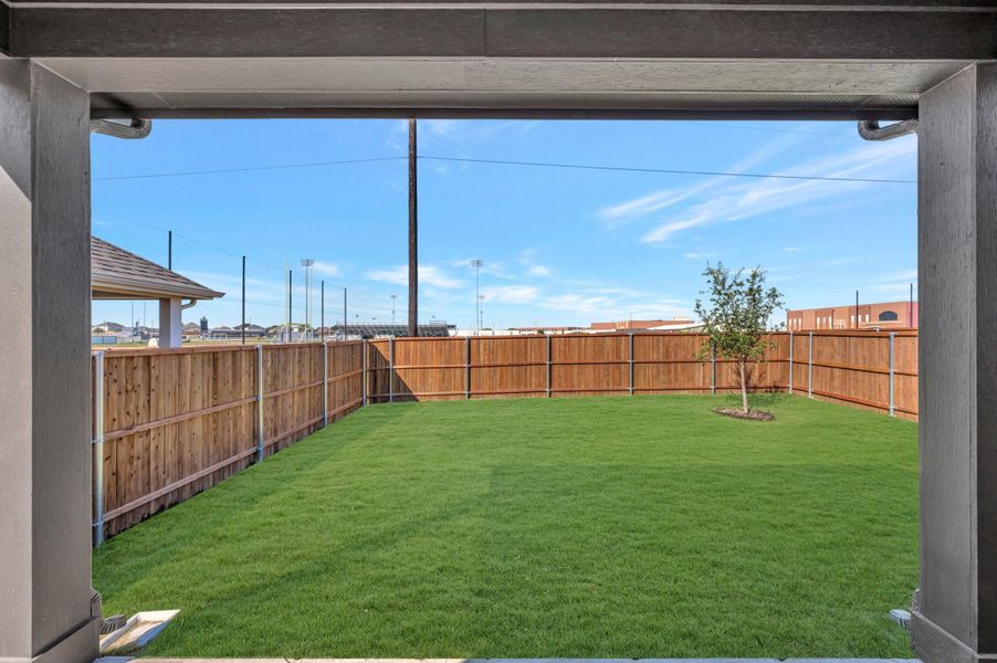 Backyard