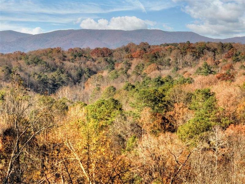 Natural landscape and outdoor views near  in Ellijay (Image 39).