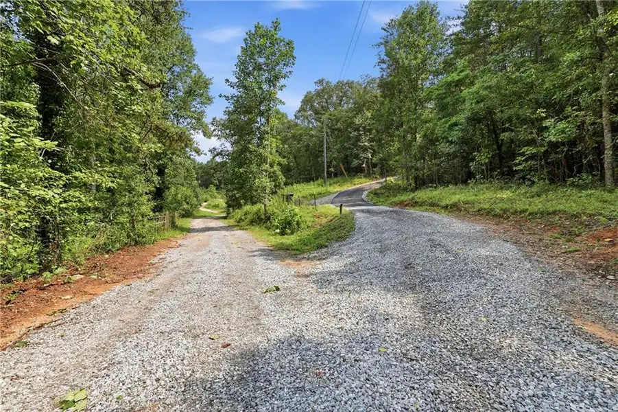 Natural landscape and outdoor views near  in Demorest (Image 59).