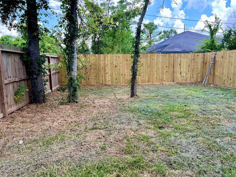 Spacious back yard retreat. Spacious back yard retreat.