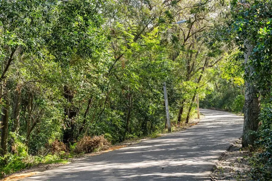Natural landscape and outdoor views near Rainwood in Groveland (Image 19). Natural landscape and outdoor views near Rainwood in Groveland (Image 19).