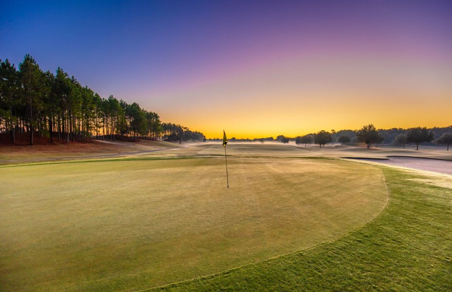 Natural landscape and outdoor views near Del Webb Stone Creek in Ocala (Image 14).
