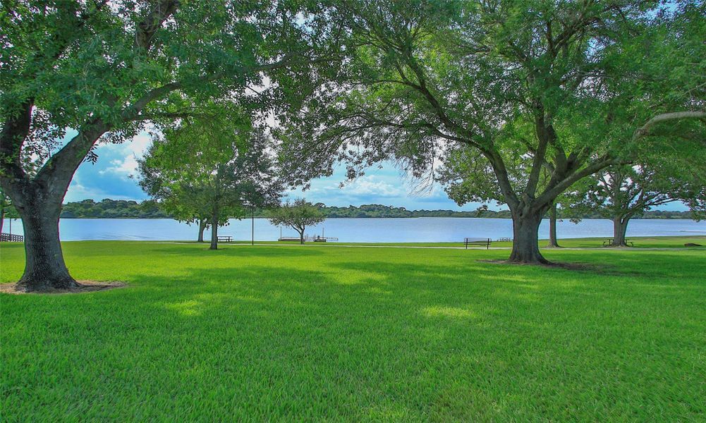 Natural landscape and outdoor views near Ellis Cove in Seabrook (Image 26).
