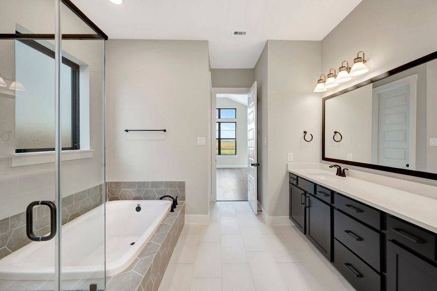 Owner's Bath