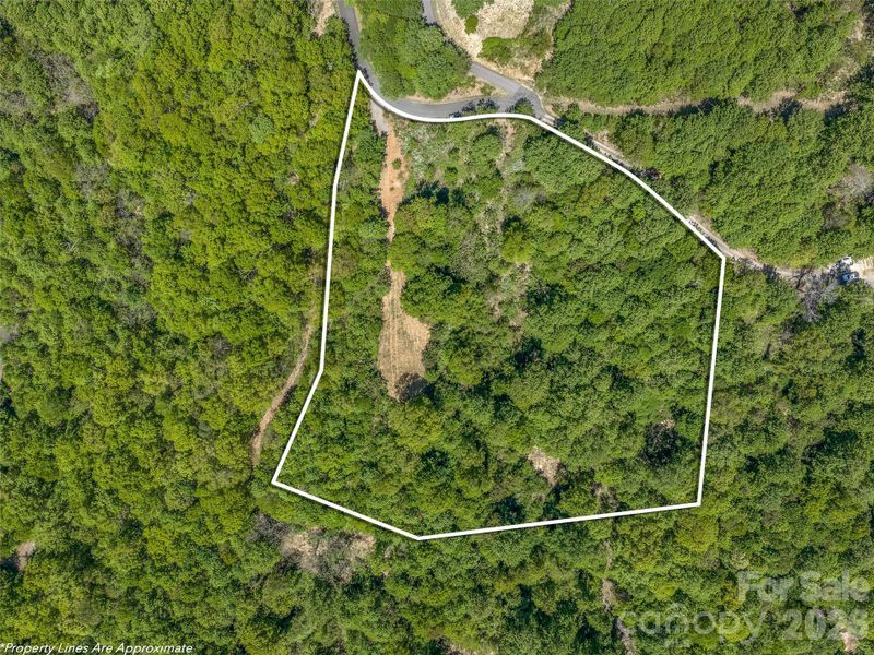 Rare, build-ready 4.22-acre homesite featuring a level building area, private well, and completed soil evaluation. Rare, build-ready 4.22-acre homesite featuring a level building area, private well, and completed soil evaluation.