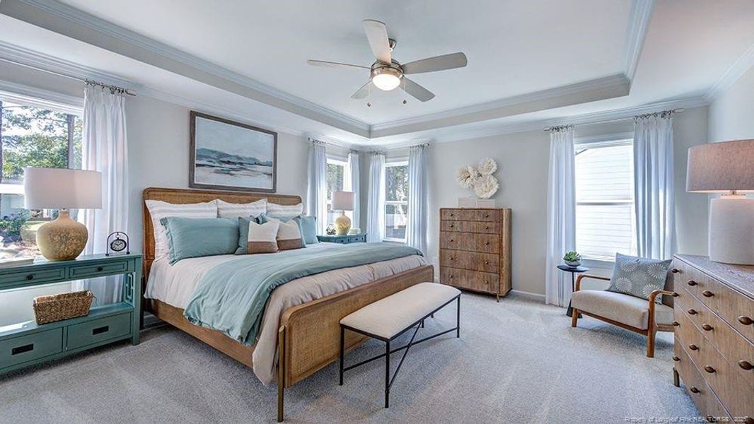 REPRESENTATIVE PHOTO