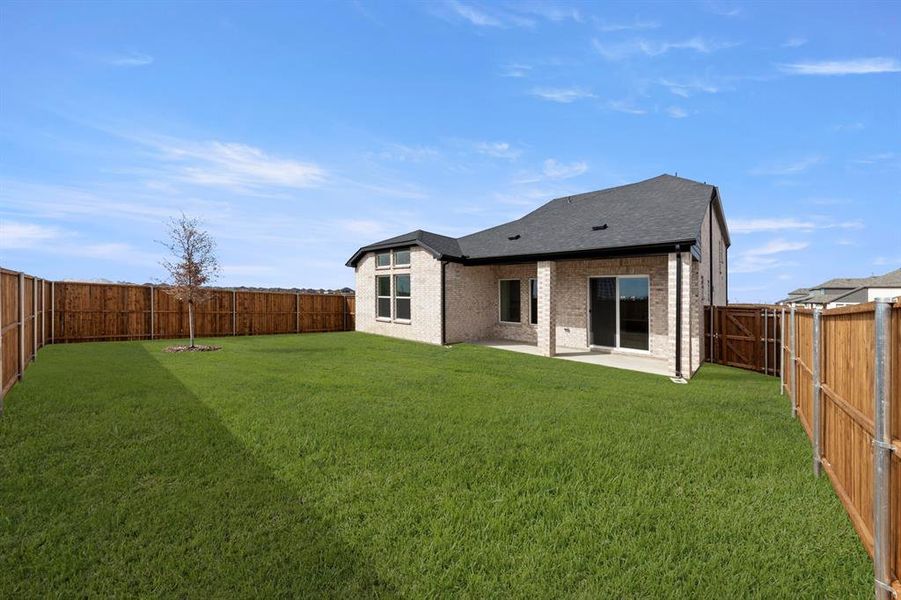 27. 5412 Sundarean - Back (2)