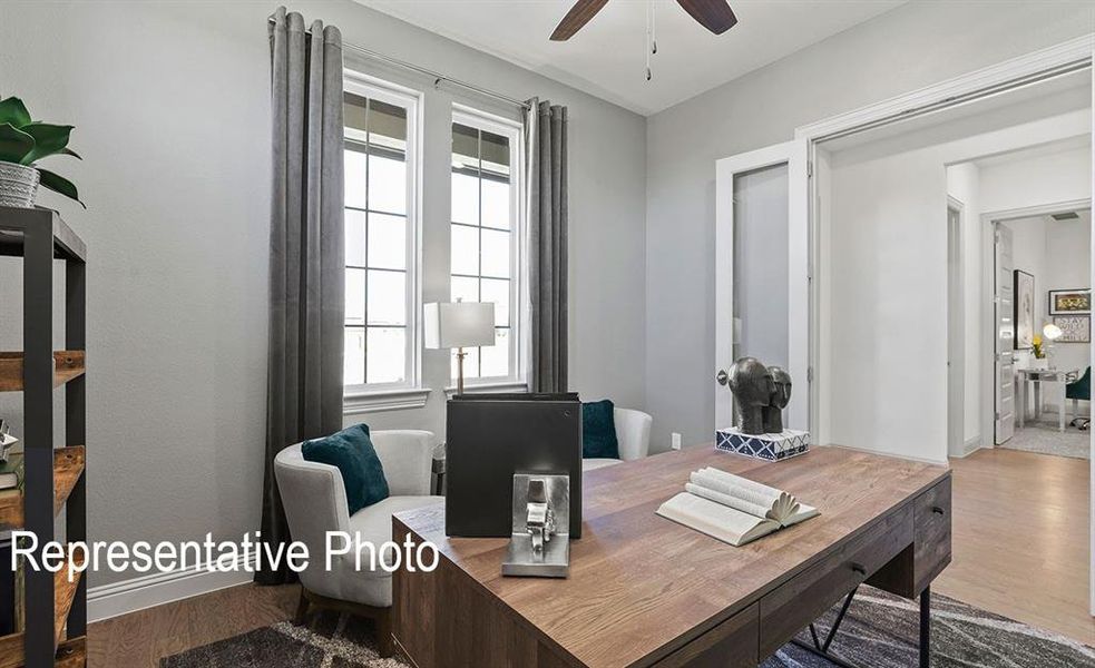 Interior space with wood-finish flooring, two large windows, a ceiling fan, and a transom window above a doorway Interior space with wood-finish flooring, two large windows, a ceiling fan, and a transom window above a doorway