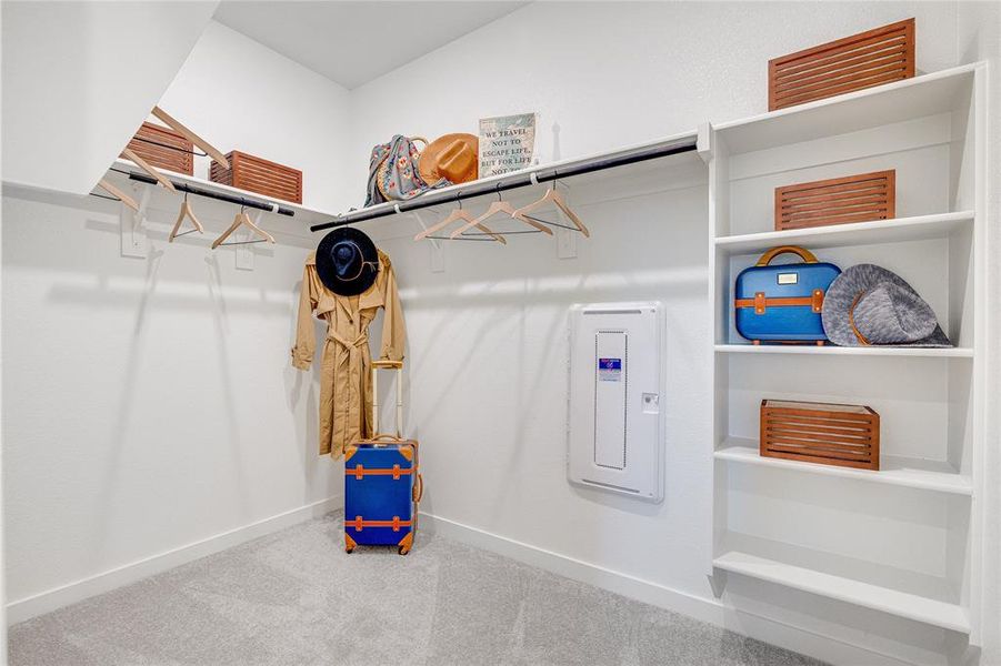 Spacious closet with carpet floors