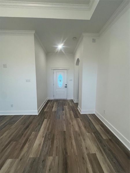 This photo features a bright entryway with light walls, a decorative glass front door, and medium gray/wood water proof plank flooring, creating a welcoming and modern atmosphere.