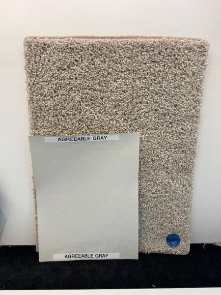Carpet and paint selections Carpet and paint selections