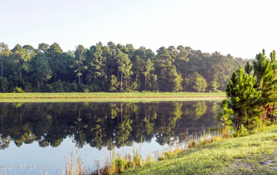 Natural landscape and outdoor views near TrailMark in St. Augustine (Image 25). Natural landscape and outdoor views near TrailMark in St. Augustine (Image 25).