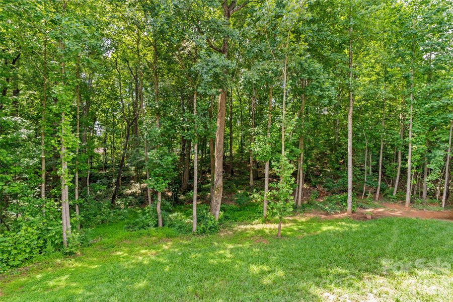 Natural landscape and outdoor views near in Statesville (Image 40). Natural landscape and outdoor views near in Statesville (Image 40).