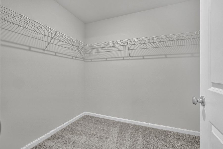 Spacious, unfurnished interior of a new home in River Tide Farms, Bolivia (Image 19).