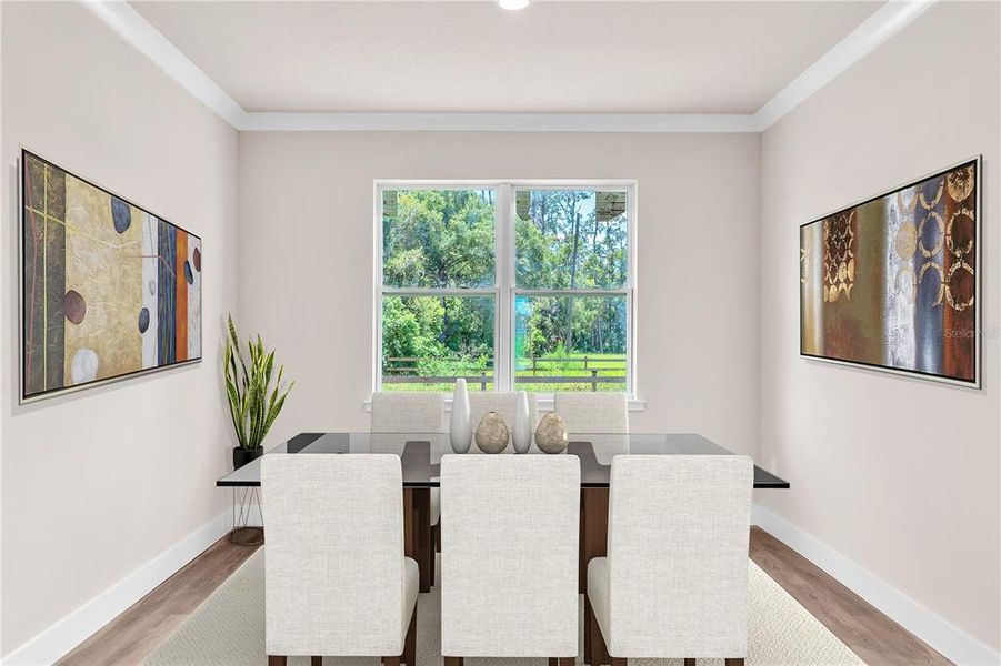 Furnished interior view inside a new home in , Plant City (Image 14). Furnished interior view inside a new home in , Plant City (Image 14).