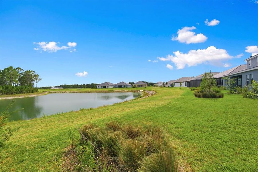 Natural landscape and outdoor views near Tamarack at Two Rivers in Zephyrhills (Image 62).