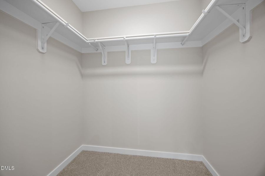 32-web-or-mls-6S8A5050