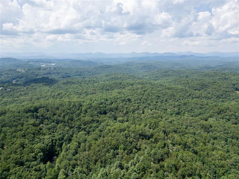 Natural landscape and outdoor views near  in Dahlonega (Image 50).