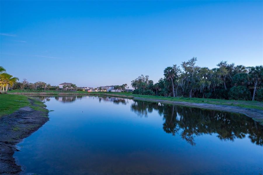 Natural landscape and outdoor views near  in Sarasota (Image 62).