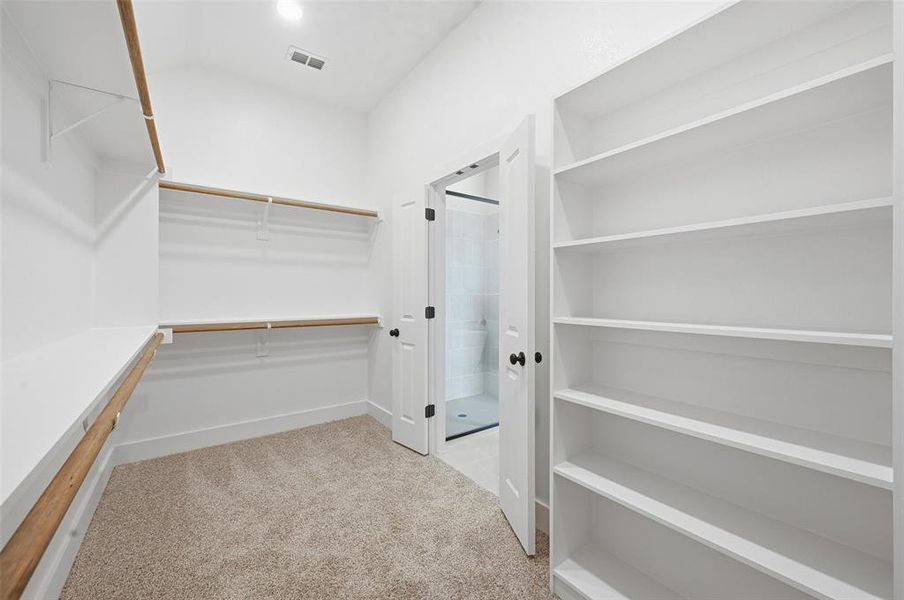 Walk in closet with light colored carpet