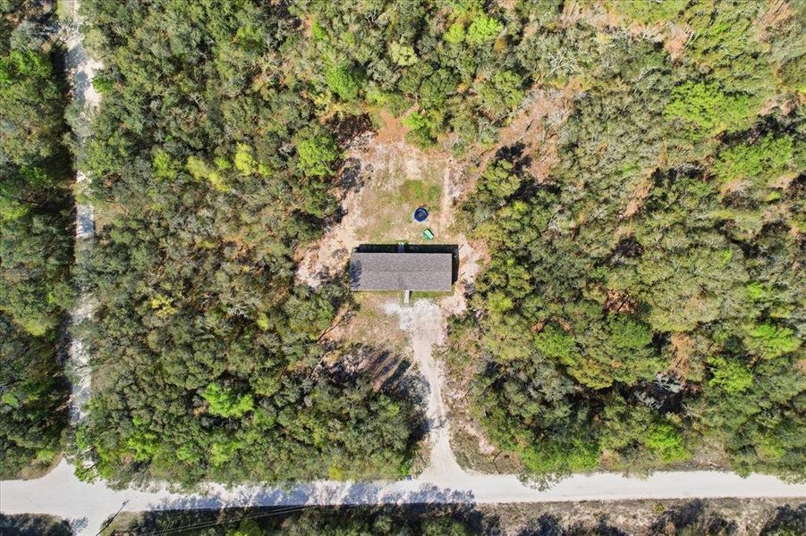 Natural landscape and outdoor views near  in Bronson (Image 38).