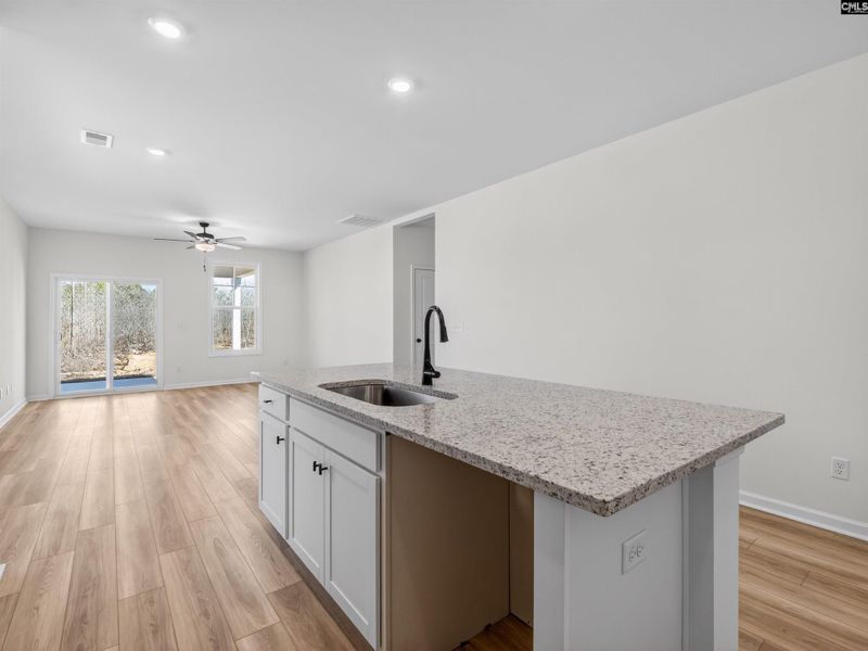 Furnished interior view inside a new home in Old Charleston Acres, Pelion (Image 8).