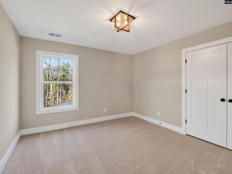 Spacious, unfurnished interior of a new home in Collins Cove, Chapin (Image 36).