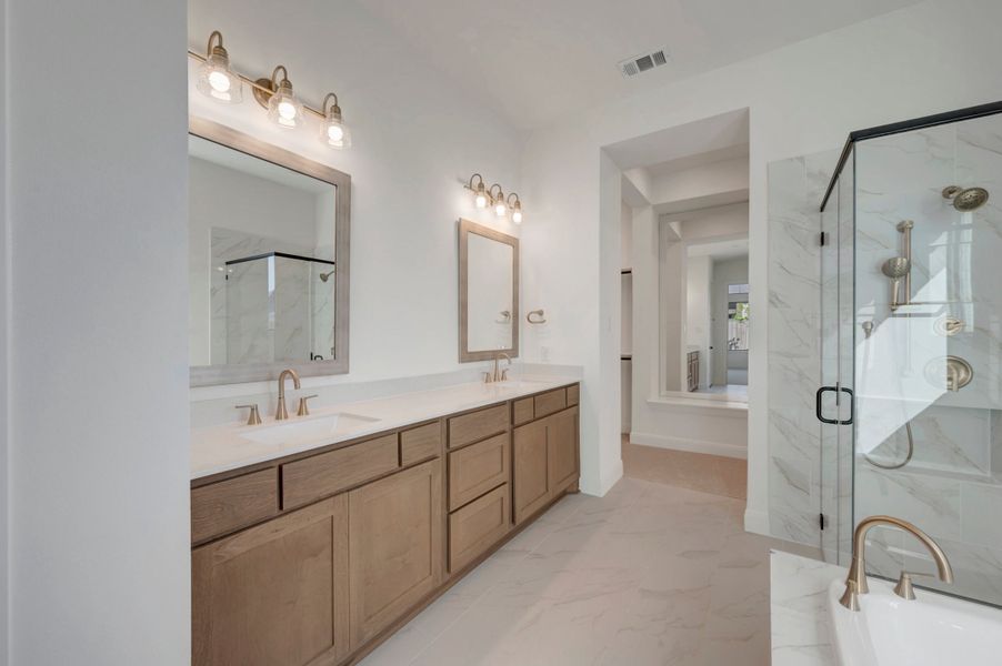 Owner's Bath