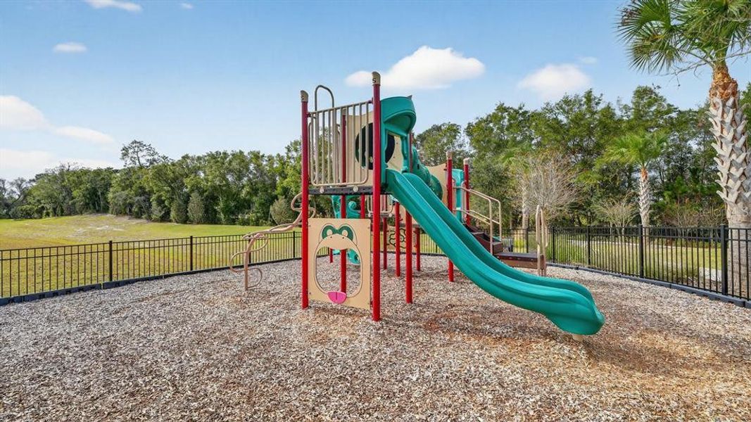 Community amenities in Canopy Terrace, Deland (Image 42). Community amenities in Canopy Terrace, Deland (Image 42).