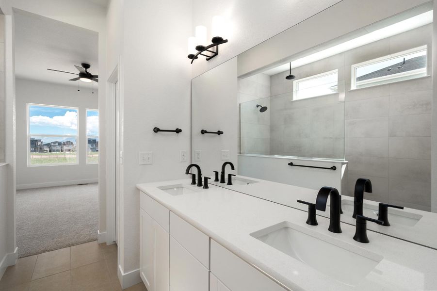 The Shreiver - Owner's Bath