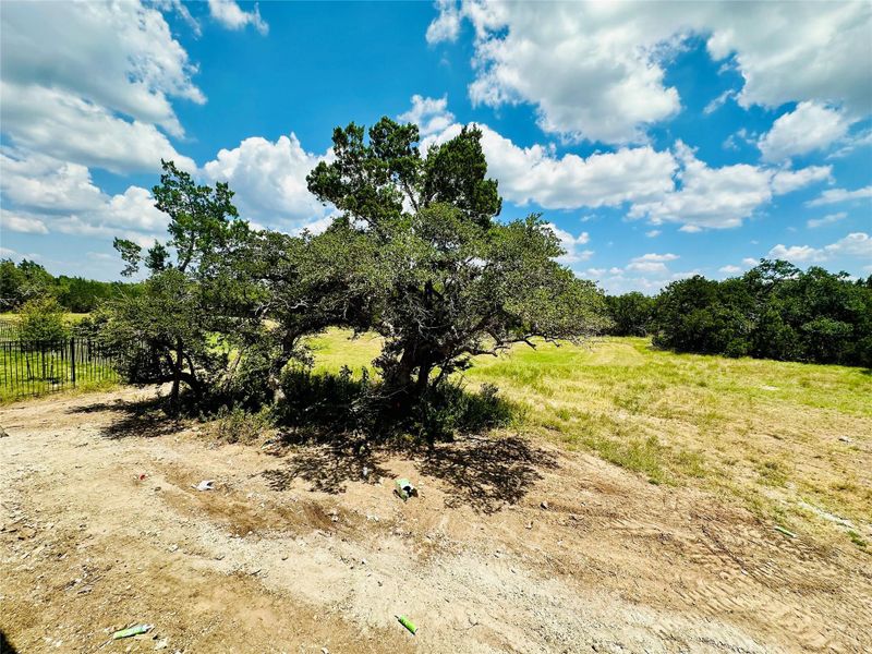 Backyard of Home Backyard of Home