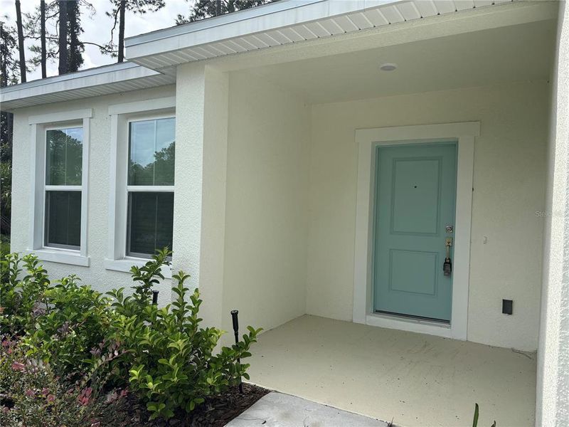 Exterior details and patio area of a home in Aspire at Palm Coast, Palm Coast (Image 24).