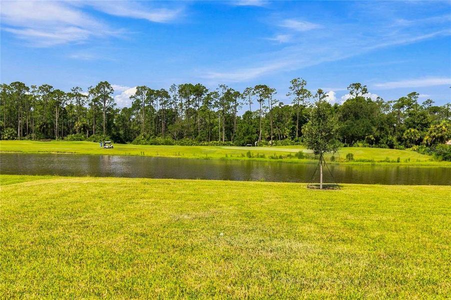 Natural landscape and outdoor views near in Daytona Beach (Image 40). Natural landscape and outdoor views near in Daytona Beach (Image 40).