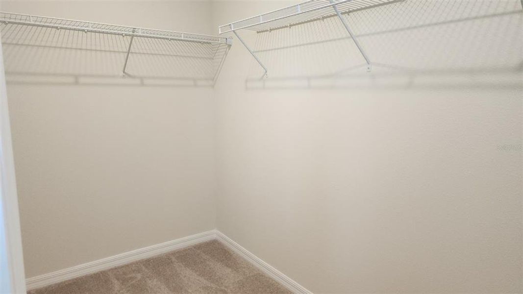 Spacious, unfurnished interior of a new home in , Winter Garden (Image 14).