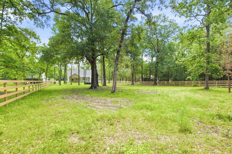 Natural landscape and outdoor views near  in Magnolia (Image 43).
