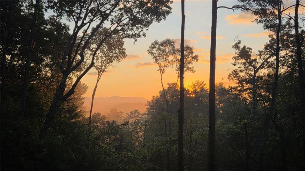 Natural landscape and outdoor views near  in Ellijay (Image 66).