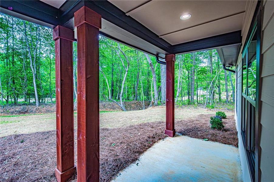 Exterior details and patio area of a home in , Dawsonville (Image 36).