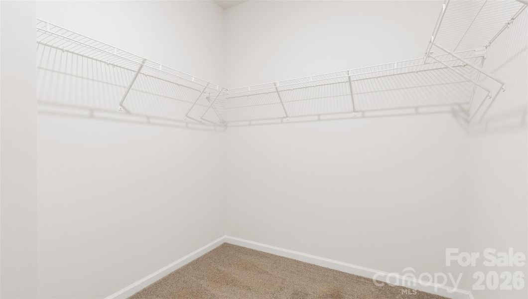 *Photos are representative*