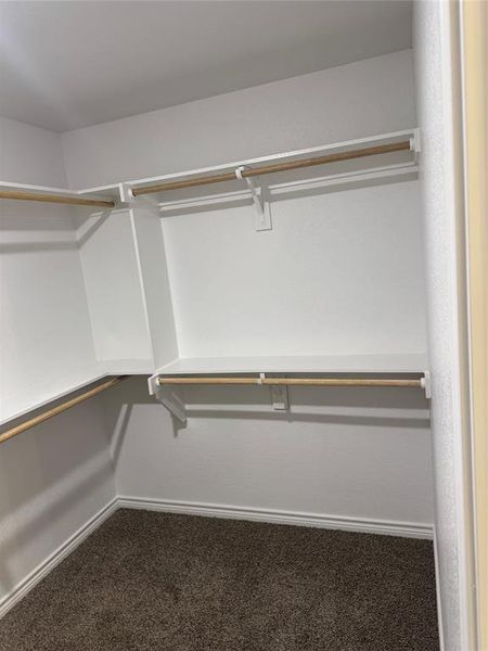 Spacious closet with carpet flooring