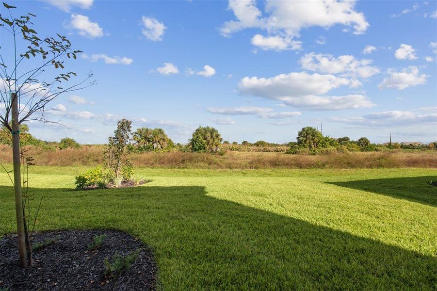 Natural landscape and outdoor views near Vistera of Venice – Garden Series in Nokomis (Image 43).