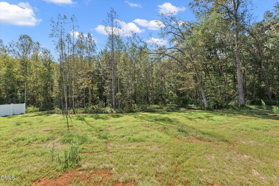 36-5504 Jaeger Drive Yard 1 36-5504 Jaeger Drive Yard 1